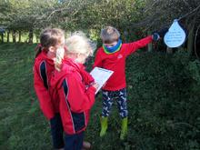 Form 2 Eco-Action Trip to Lackford Lakes in Suffolk 2021